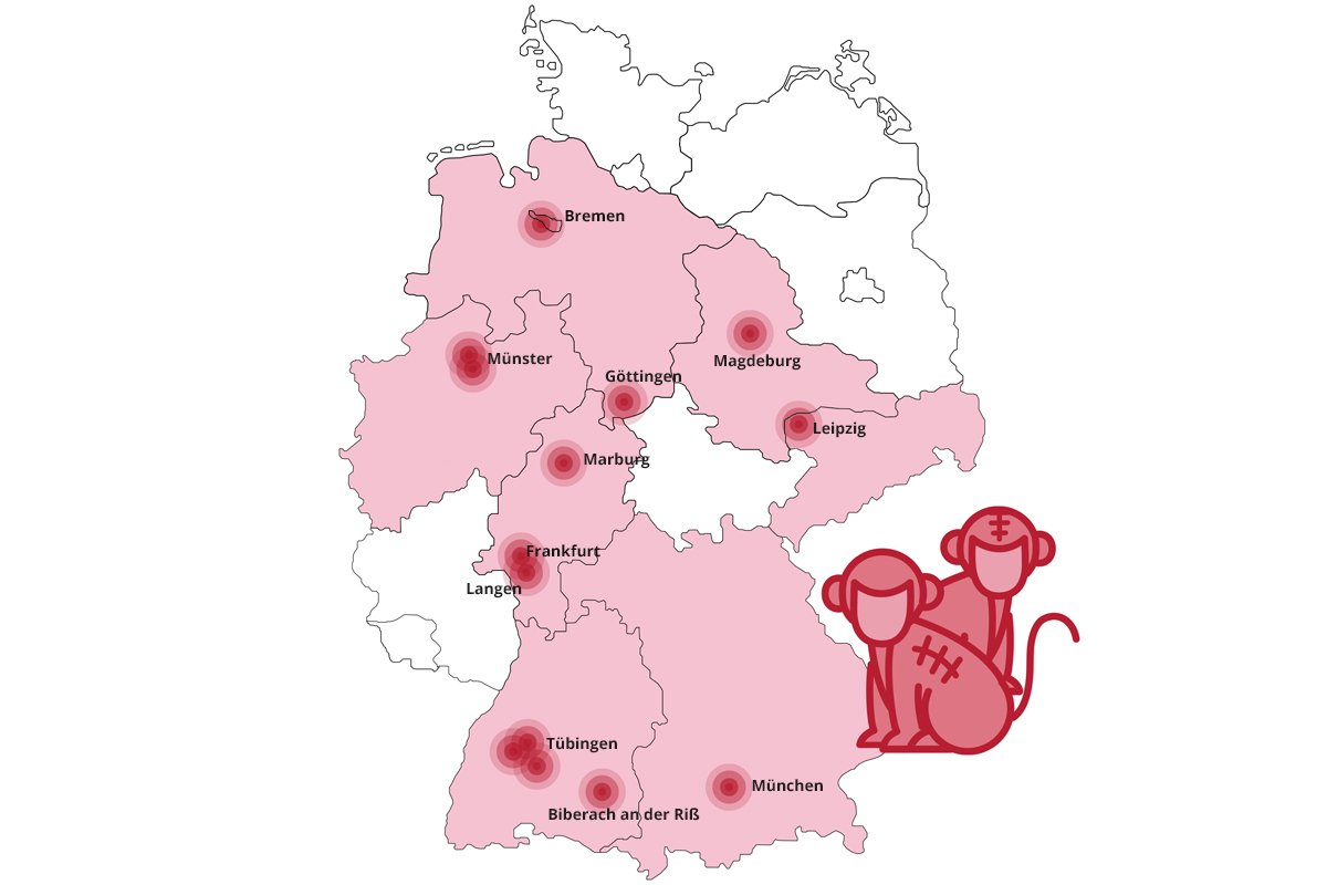 New investigation reveals the extent of primate experiments in Germany