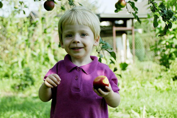 Tierversuchsfreie Forschung