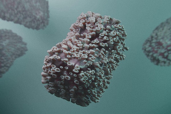 Tierversuchsfreie Forschung