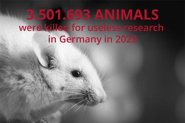 Animal experimentation statistics 2023